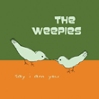 Say I Am You专辑 The Weepies