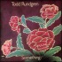 Something/Anything?专辑 Todd Rundgren