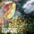 Soft Will专辑 Smith Westerns